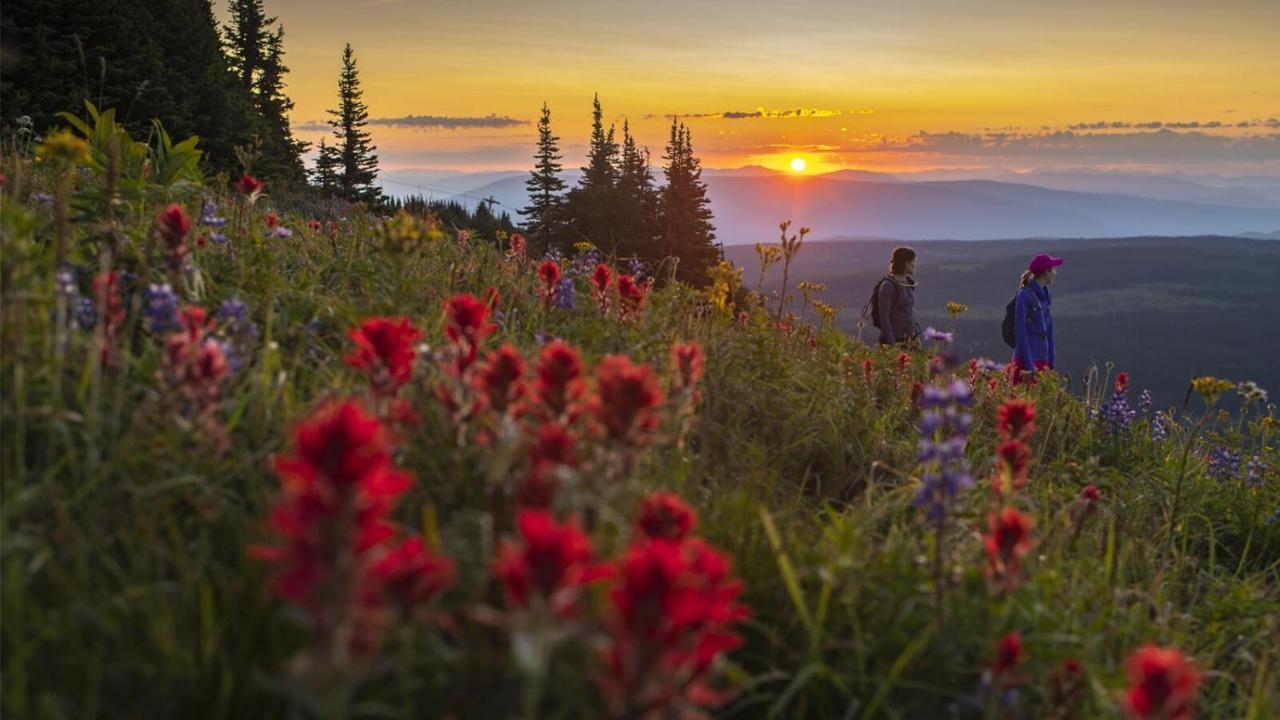 Soleil Chalet By Bear Country Sun Peaks Esterno foto